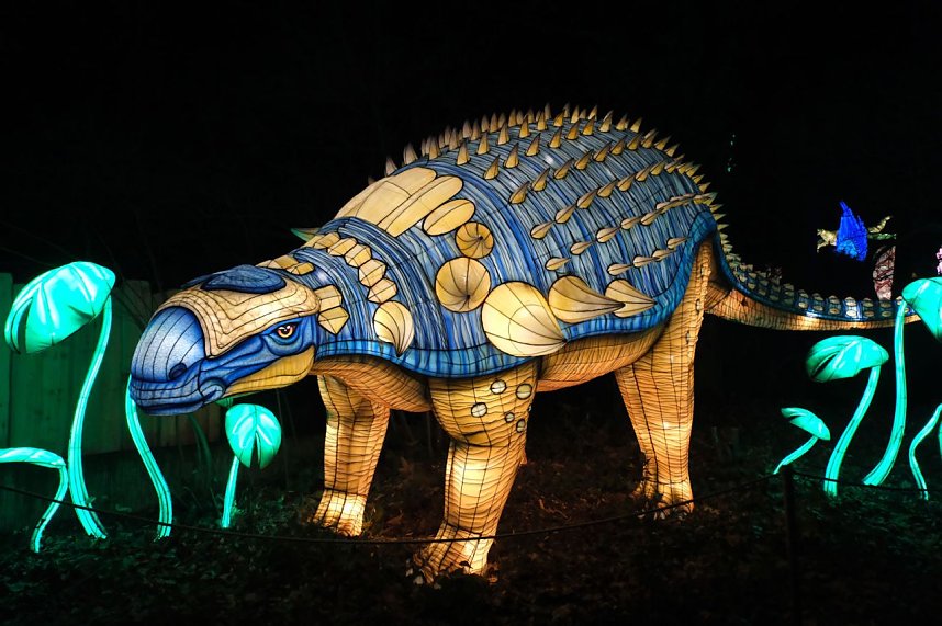 Peter Blei in den magischen Lichterwelten