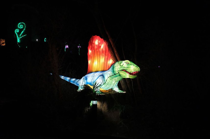 Peter Blei in den magischen Lichterwelten