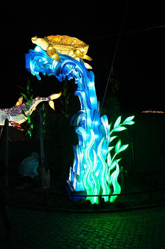 Peter Blei in den magischen Lichterwelten