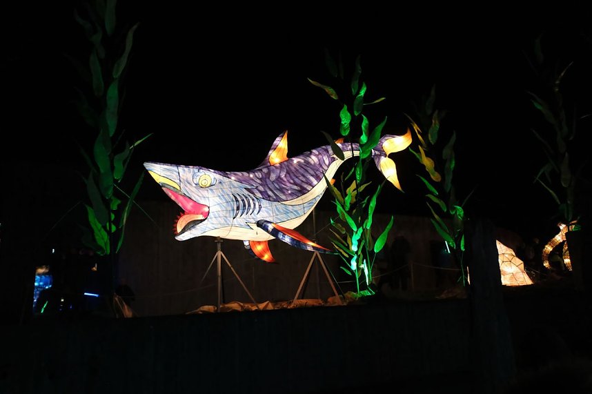 Peter Blei in den magischen Lichterwelten