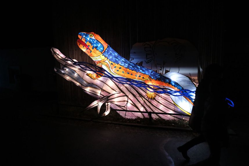 Peter Blei in den magischen Lichterwelten