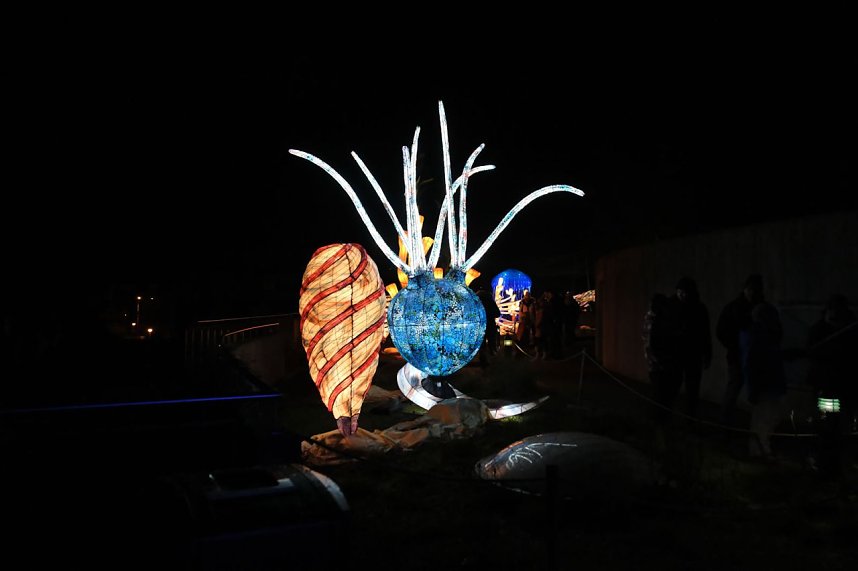 Peter Blei in den magischen Lichterwelten