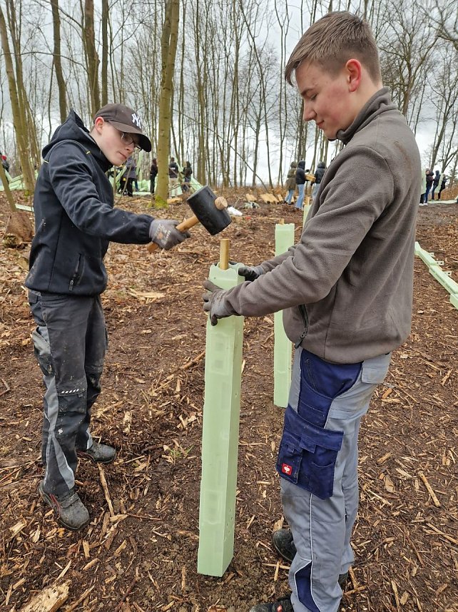 Gymnasiasten pflanzen B&auml;ume