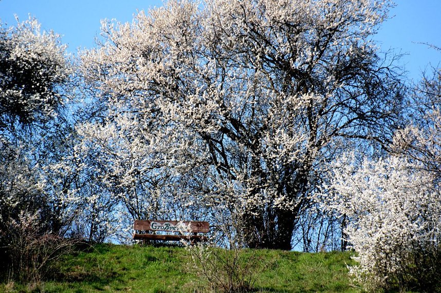 Osterspaziergang im Vorharz