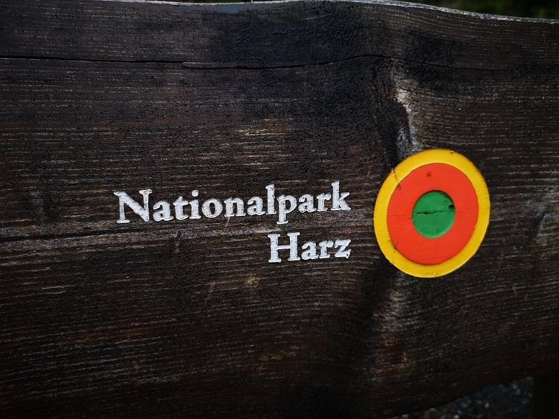 Jour Fixe im Nationalpark mit Sara Wegrzyk