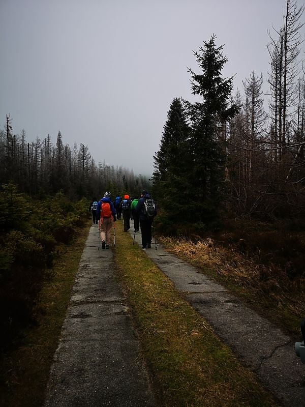 Jour Fixe im Nationalpark mit Sara Wegrzyk