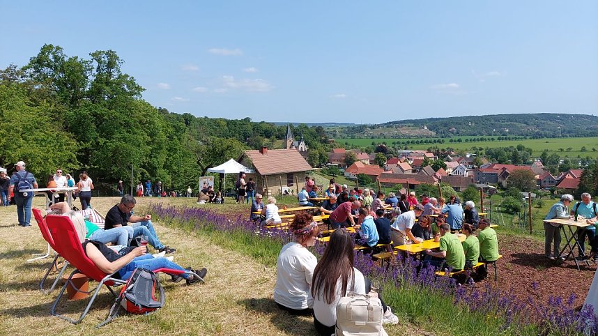 Unterwegs auf der Saale-Weinmeile