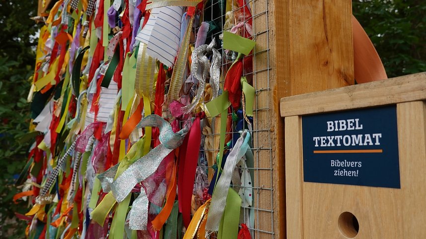 Stippvisite bei der Landesgartenschau in Bad Gandersheim