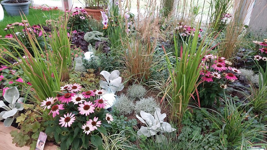 Stippvisite bei der Landesgartenschau in Bad Gandersheim