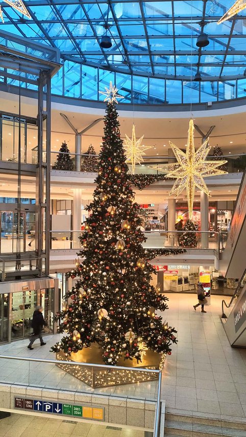 Peter Blei unterwegs in Magdeburg