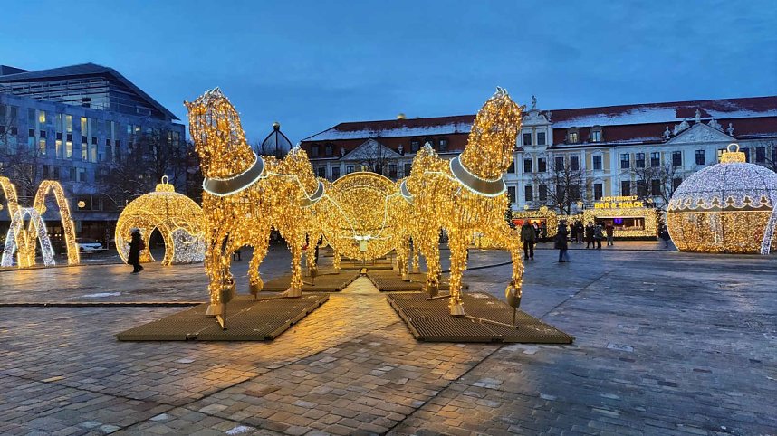 Peter Blei unterwegs in Magdeburg