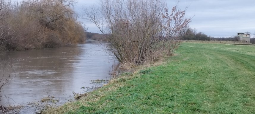 Spaziergang entlang der Unstrut aus Richtung Gorsleben in Richtung Sachsenburg