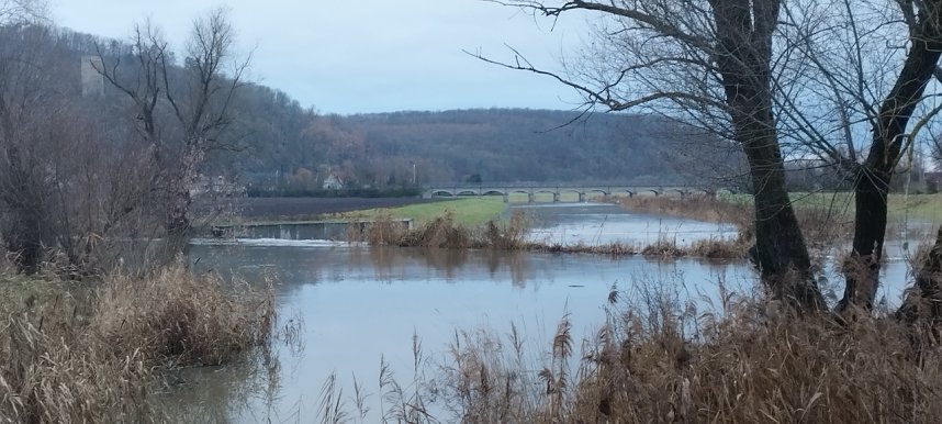 Spaziergang entlang der Unstrut aus Richtung Gorsleben in Richtung Sachsenburg