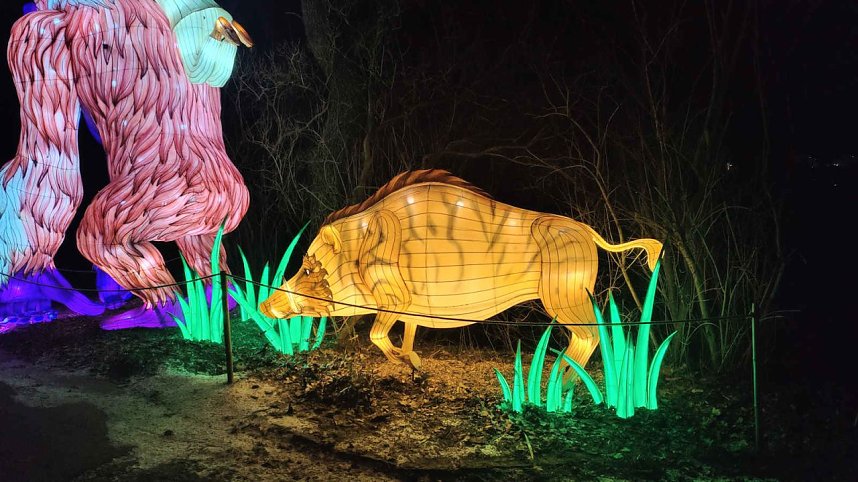 Peter Blei unterwegs in magischen Lichterwelten