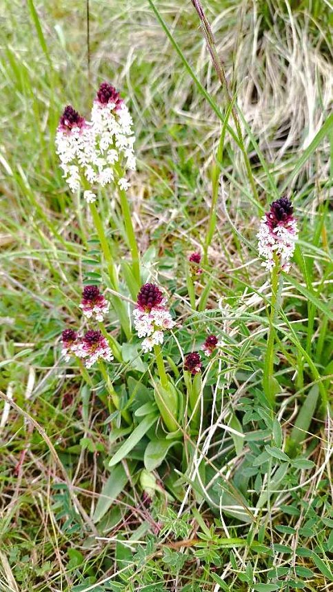 Sch&ouml;nheiten der Natur