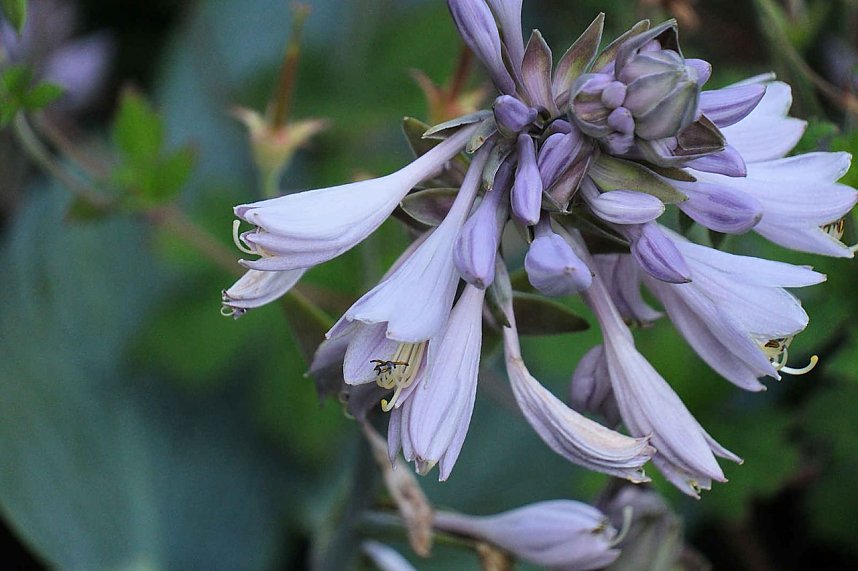 Unterwegs in Wald und Wiese