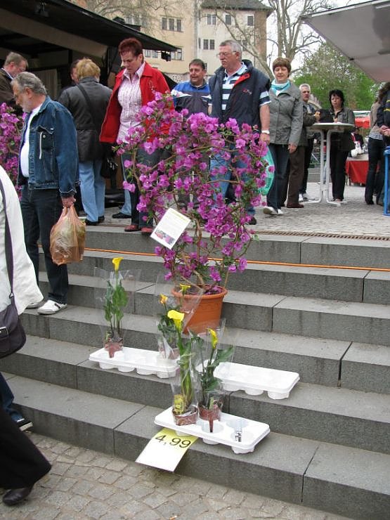 Blumen und mehr
