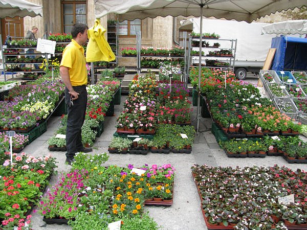 Blumen und mehr