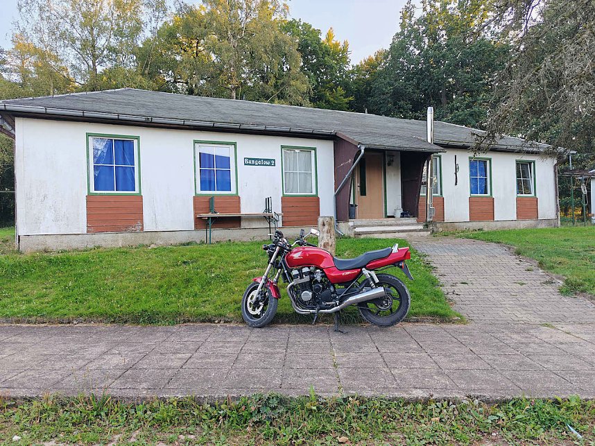 Peter Blei beim Waldspaziergang