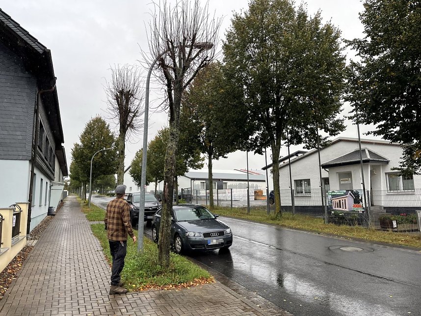 50 B&auml;ume m&uuml;ssen in Leinefelde und Worbis bis Ende Februar fallen