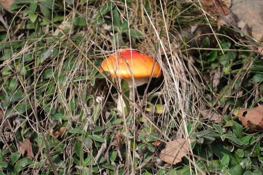 Sonntagswanderung an der Hassel-Vorsperre