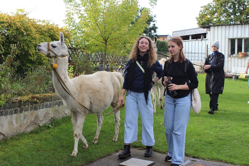 Unterwegs mit den Unstrut Lamas aus Herbsleben