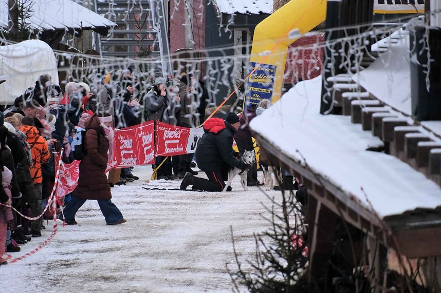 Hundeschlittenrennen im Harz
