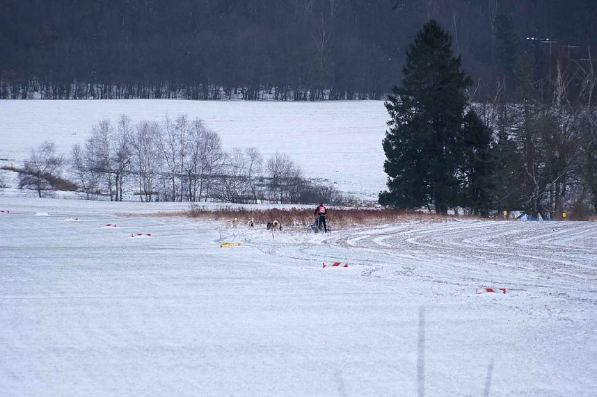 Hundeschlittenrennen im Harz