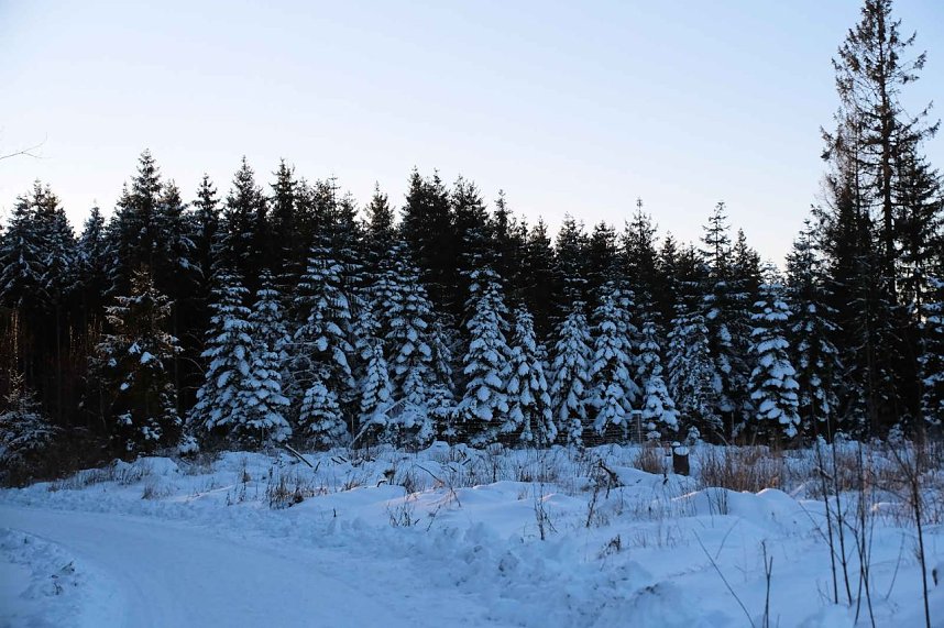 Winterlicher Harzausflug mit Kamera