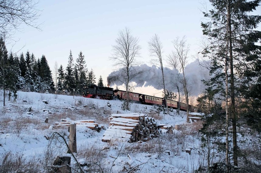 Winterlicher Harzausflug mit Kamera