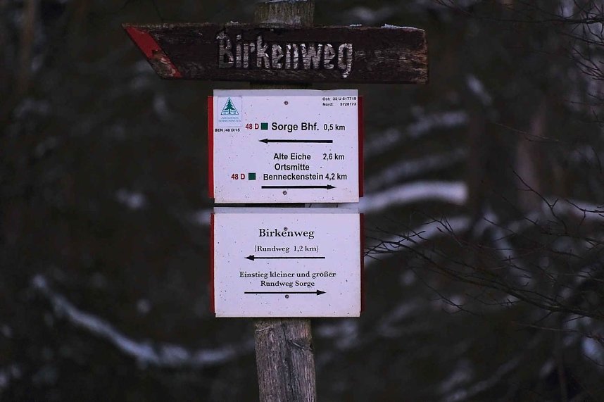 Winterlicher Harzausflug mit Kamera