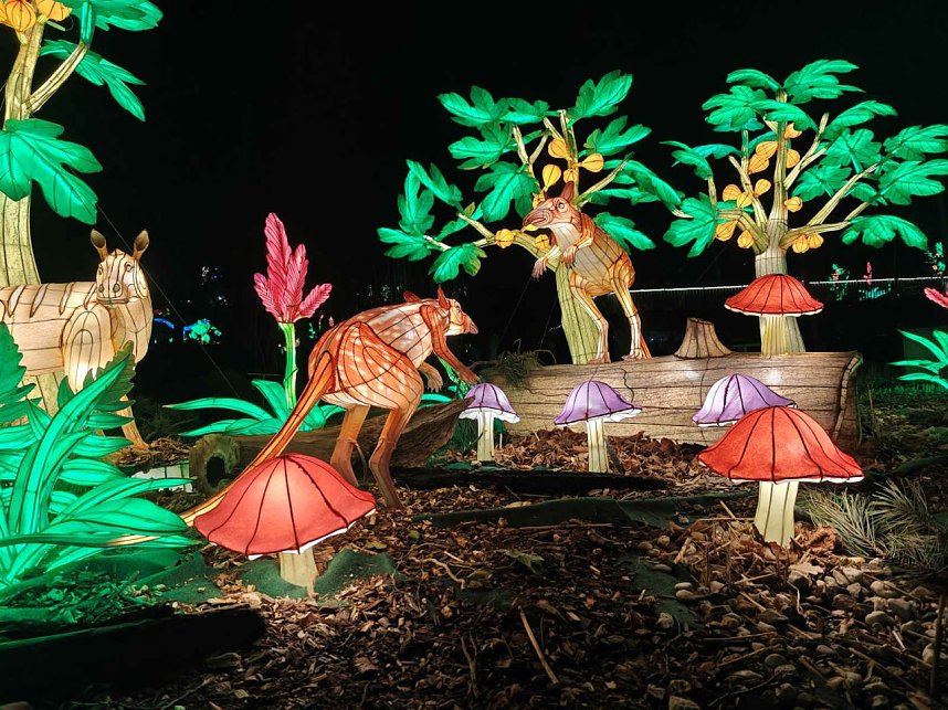 Magische Lichterwelten in Halle