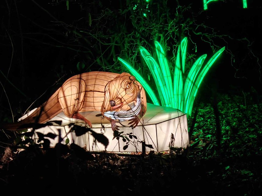 Magische Lichterwelten in Halle