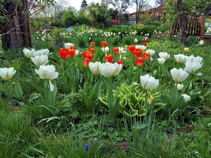 Vorbereitungen f&uuml;r die Landesgartenschau laufen