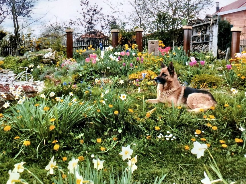 Vorbereitungen f&uuml;r die Landesgartenschau laufen