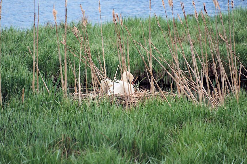 Peter Blei unterwegs in Stiege