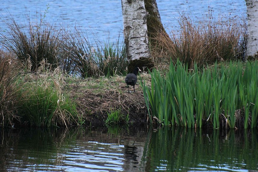 Peter Blei unterwegs in Stiege