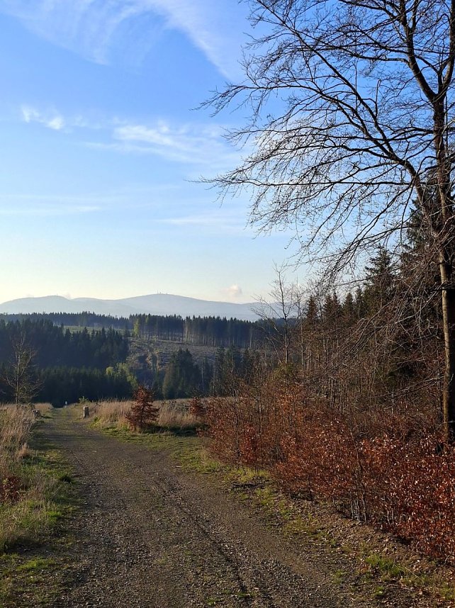 Impressionen von einer doppelten Harzquerung