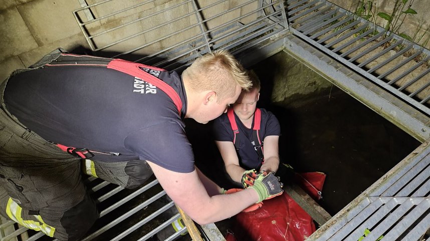 K&uuml;kenrettung am Abend