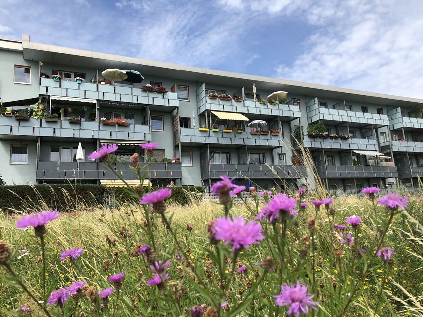 Wie Leinefelde zur Modellstadt des Ostens wurde