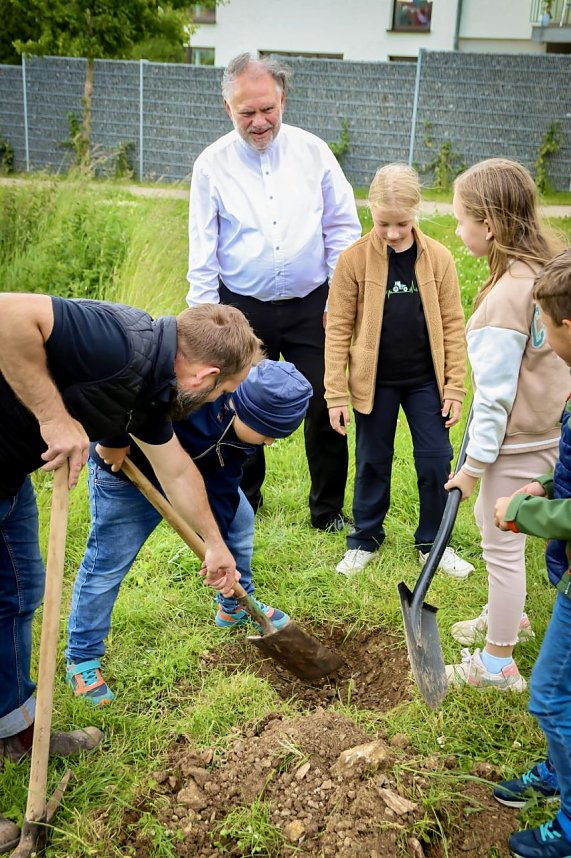 Kommunionskinder pflanzen Erinnerungsbaum