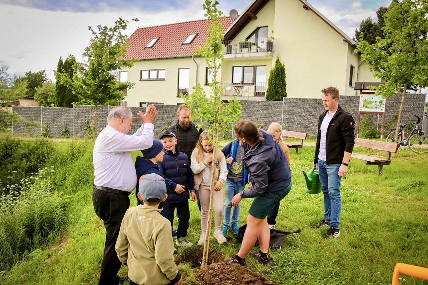 Kommunionskinder pflanzen Erinnerungsbaum