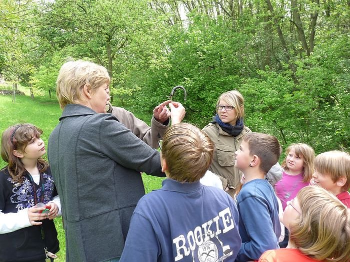 Tag der Parke