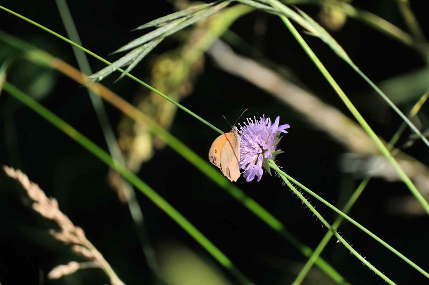 Peter Blei unterwegs im S&uuml;dharz