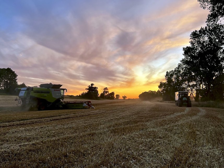 Dank an die Mitarbeiter von Apex
