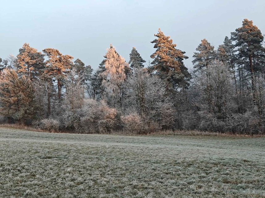 Winterlandschaften