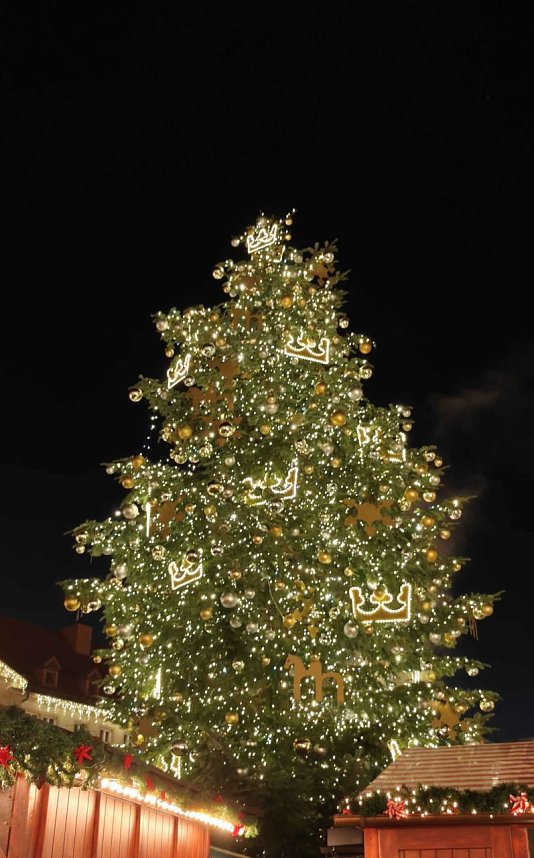 Peter Blei unterwegs in Magdeburg