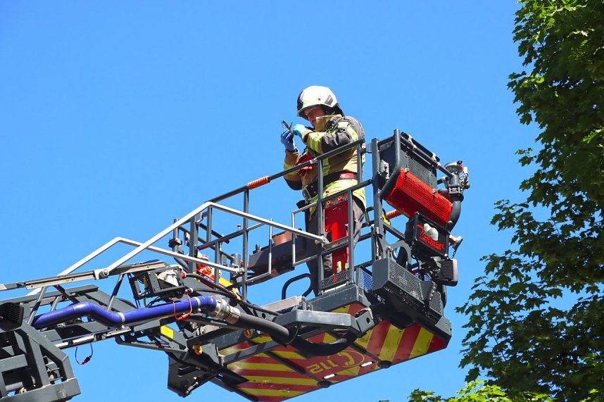 Ein Mauersegler war in Heiligenstadt in Gefahr geraten. 