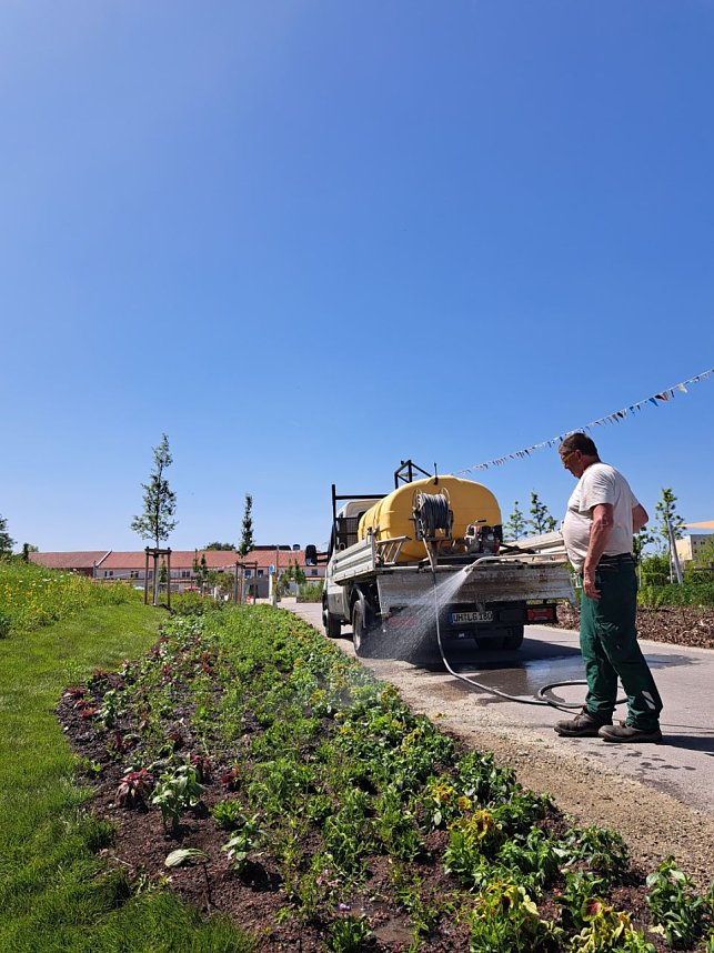 Neue Pflanzen ziehen auf dem Gel&auml;nde der Landesgartenschau ein.