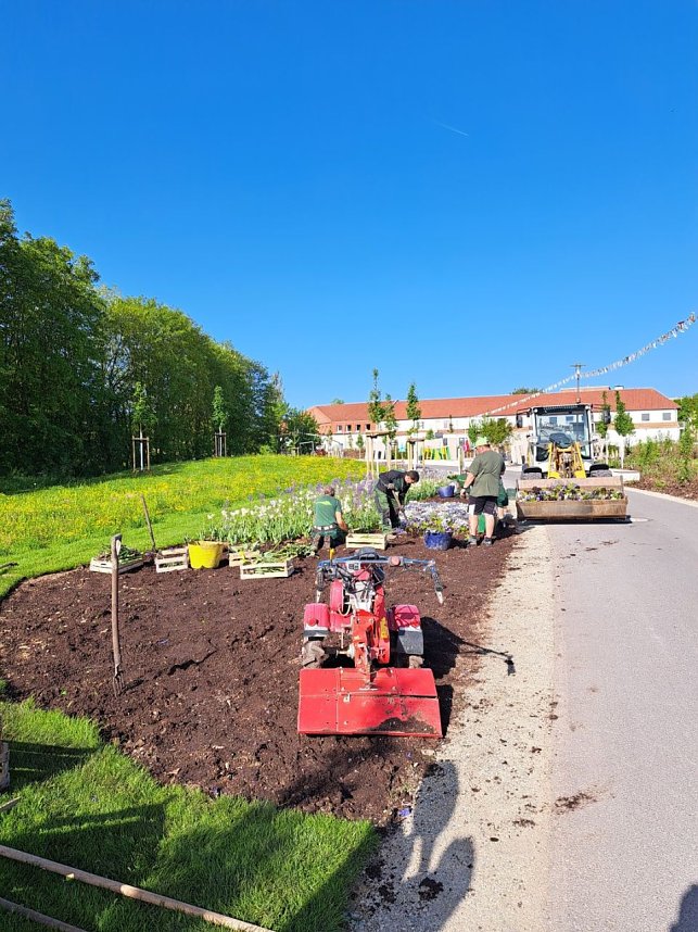 Neue Pflanzen ziehen auf dem Gel&auml;nde der Landesgartenschau ein.